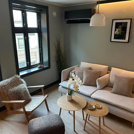 Authentic Historic Luxury House ベルゲン