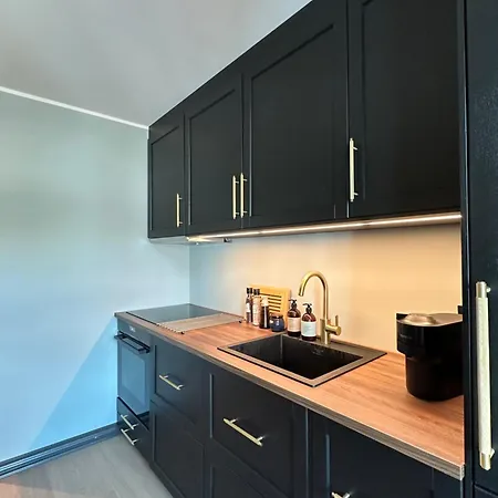 Authentic Historic Luxury House Nyaraló Bergen